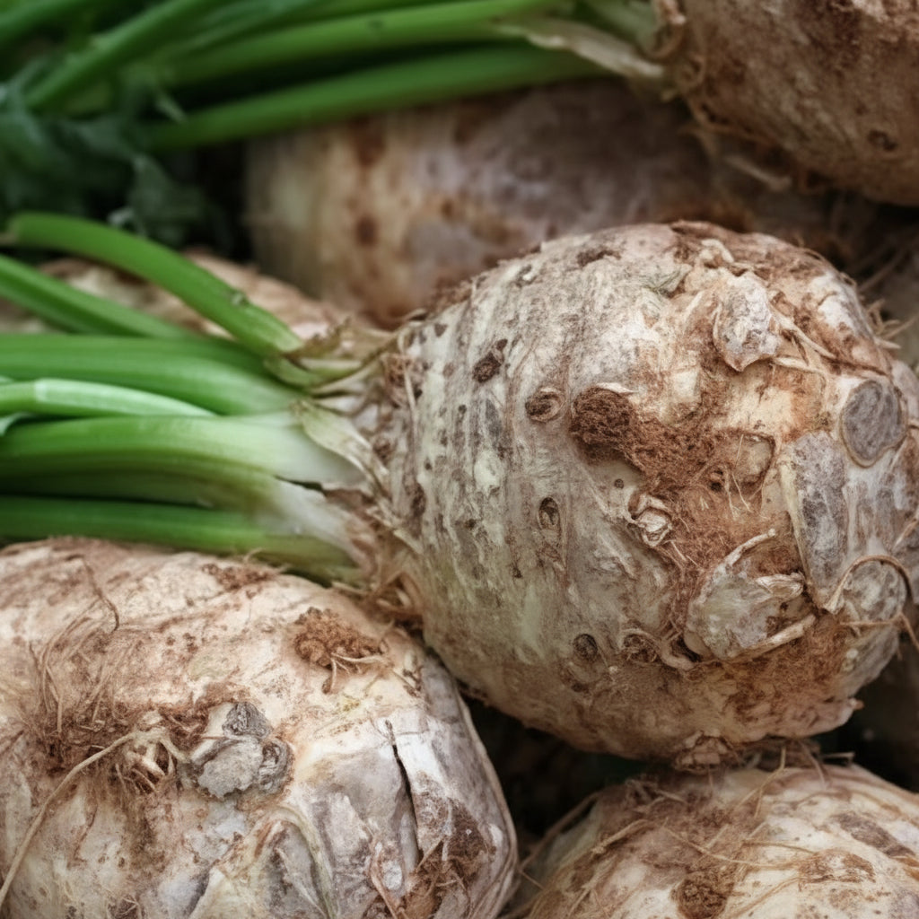 Cumpără Semințe de Țelină Giant Prague 2G, soi ceh cu rădăcină mare, aromă intensă și productivitate ridicată. Ideală pentru supe, ciorbe și piureuri.